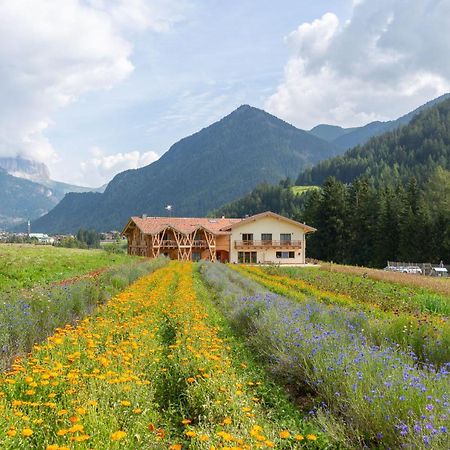 Eco-Green Fiores Agriturismo Vigo di Fassa Luaran gambar