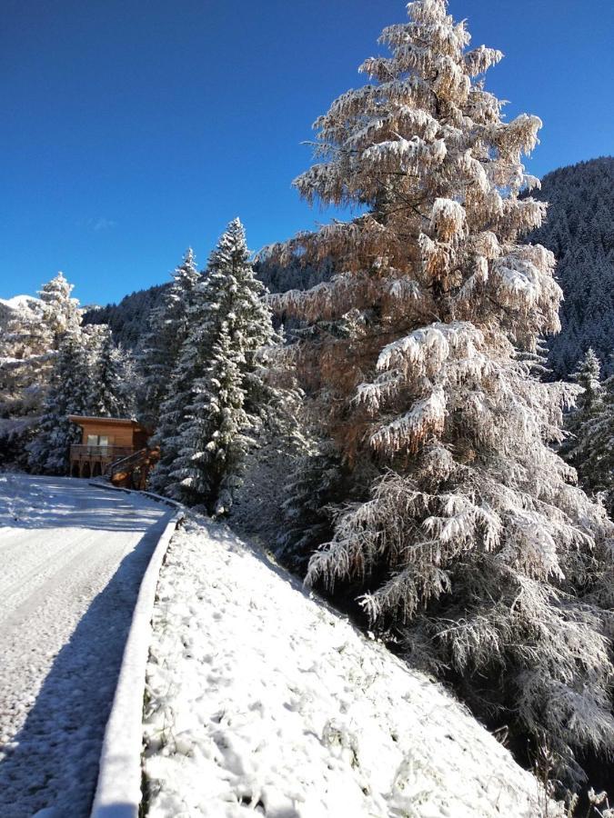Eco-Green Fiores Agriturismo Vigo di Fassa Luaran gambar