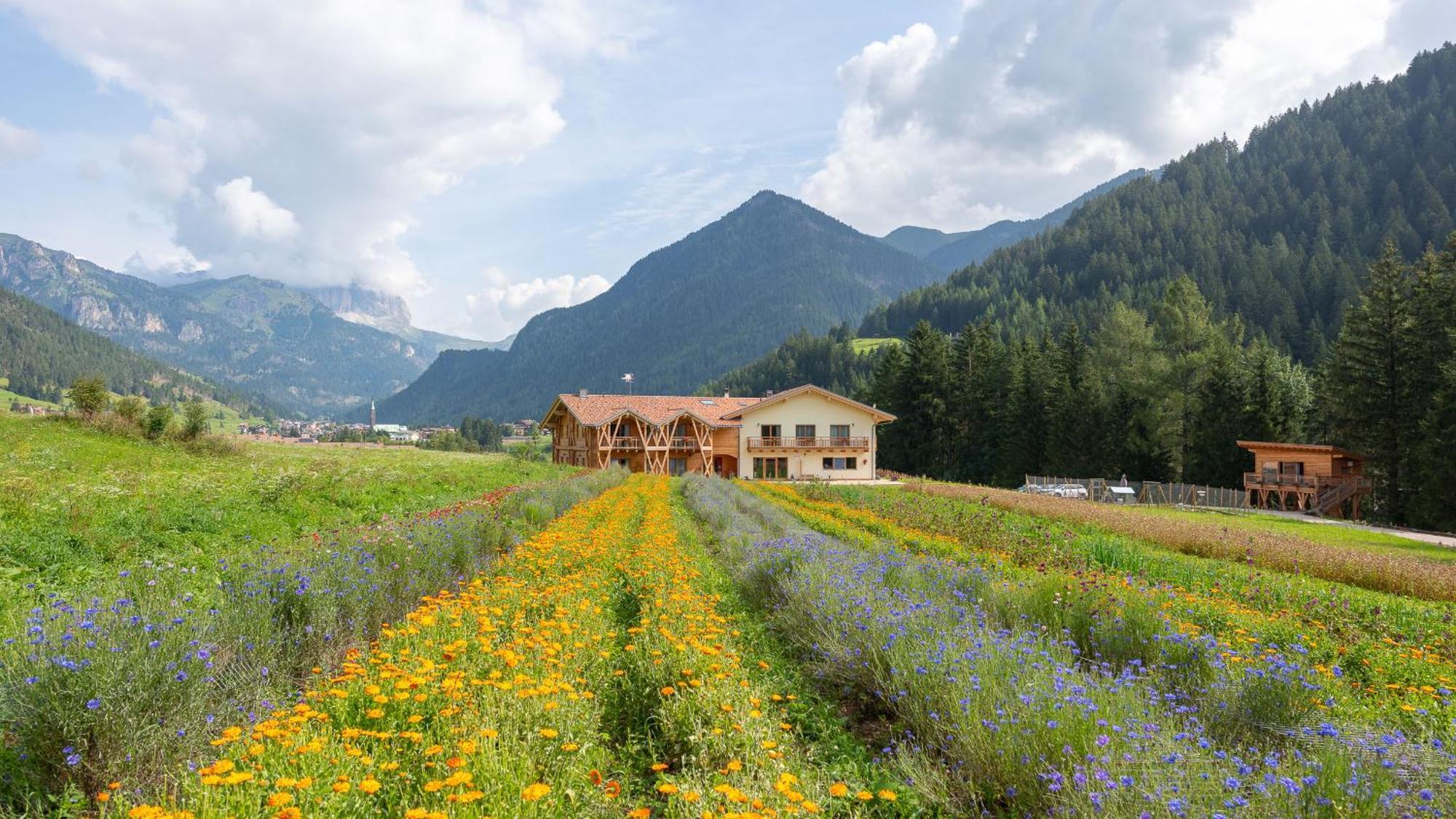 Eco-Green Fiores Agriturismo Vigo di Fassa Luaran gambar